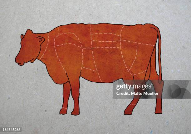 a butcher's diagram of a cow - butchers diagram stock illustrations