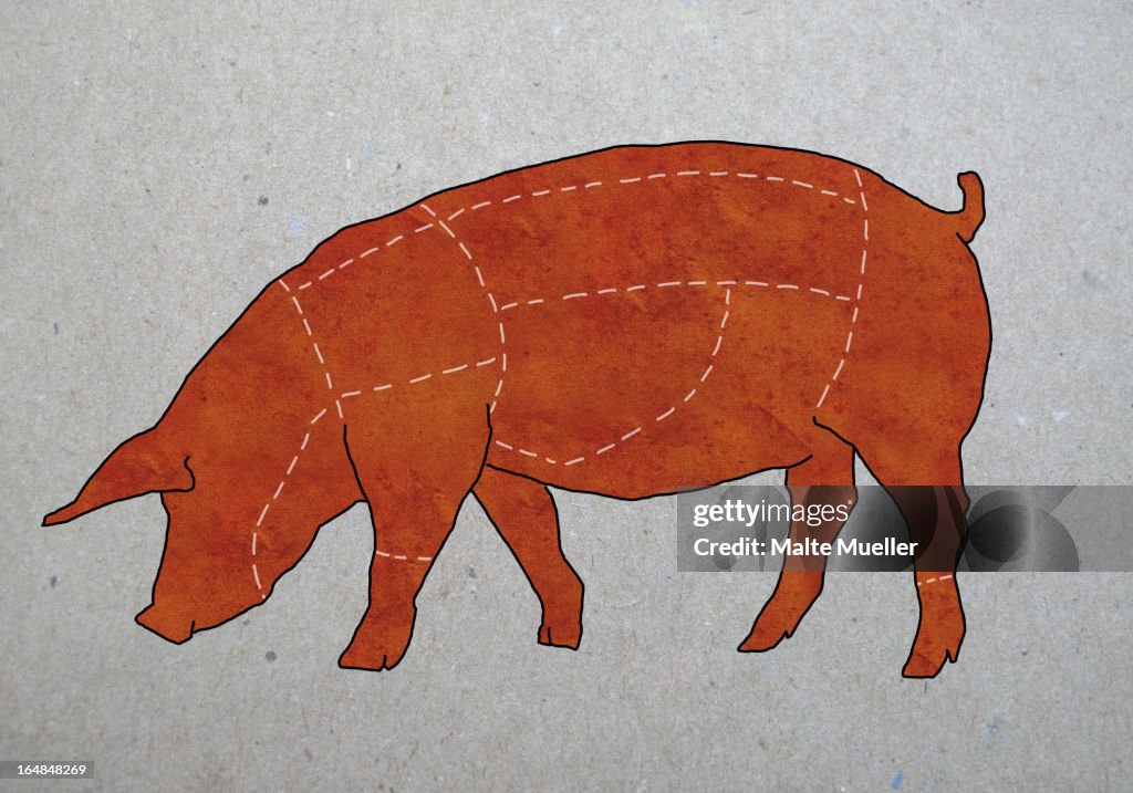 A butcher's diagram of a pig