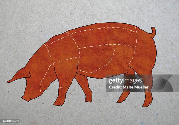 a butcher's diagram of a pig - pig stock illustrations