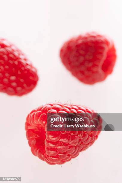 three raspberries arranged on a white background - hallon bildbanksfoton och bilder