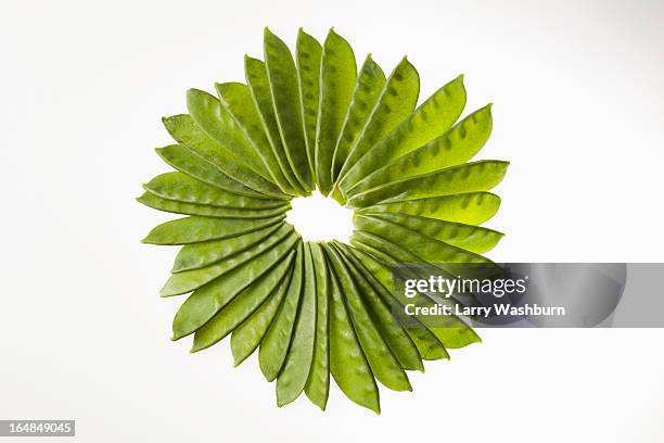 a large group of snow pea pods arranged to look like a flower - vagem chata imagens e fotografias de stock