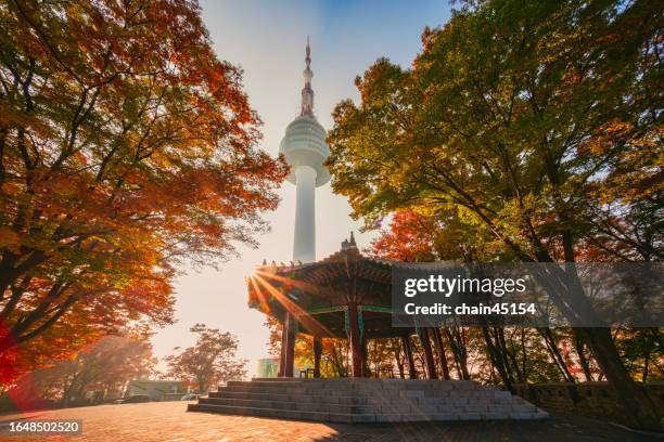 n seoul tower or namsan tower in the morning light during autumn. travel destination in seoul. south korea. - sul bordo - fotografias e filmes do acervo