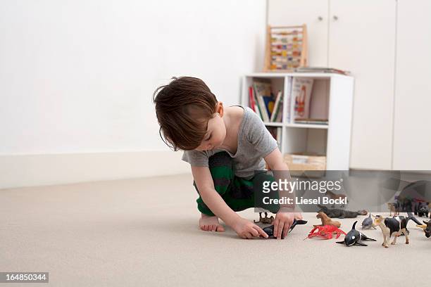 a little boy playing with some toy animal figurines on the floor of his bedroom - toy animal bildbanksfoton och bilder