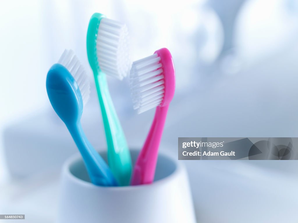 Close up of toothbrushes in holder