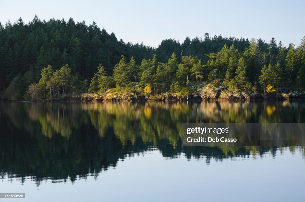 Rural landscape reflected in still lake