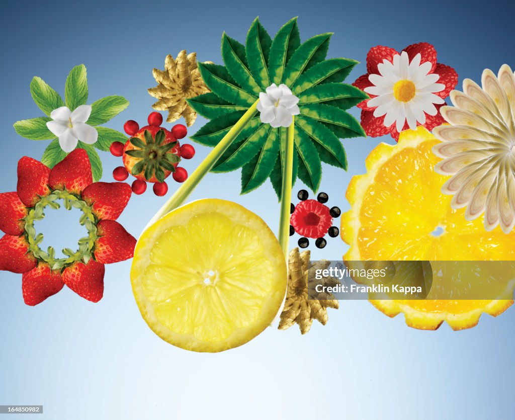 Ilustração de frutas e produtos hortícolas em flor formas