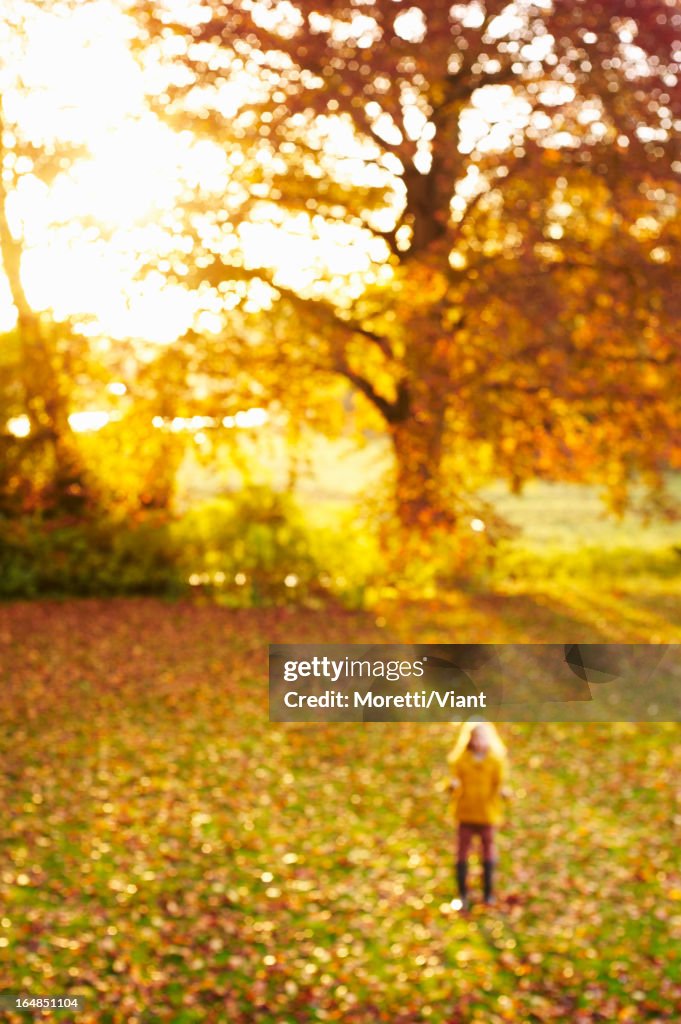 Blurred view of girl standing in meadow