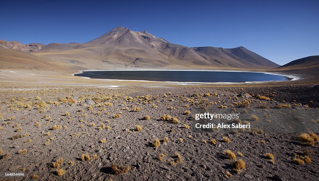 Laguna Miscanti in the Atacama Desert with a volcano.