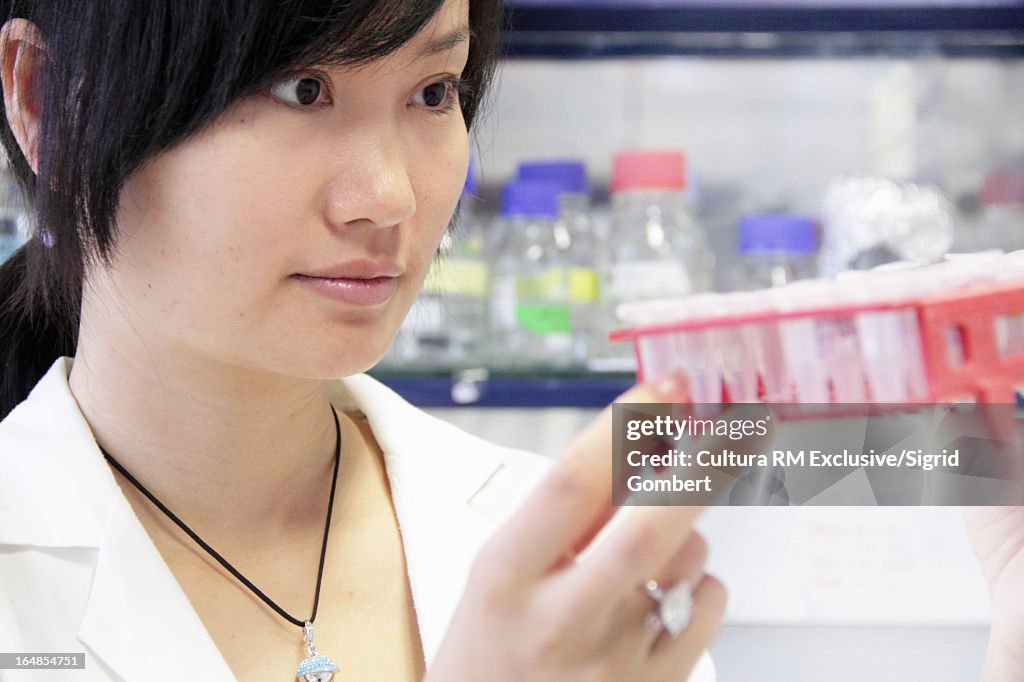 Scientist examining test tubes in lab