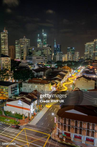 cinese new year 2013 - representación de animal fotografías e imágenes de stock