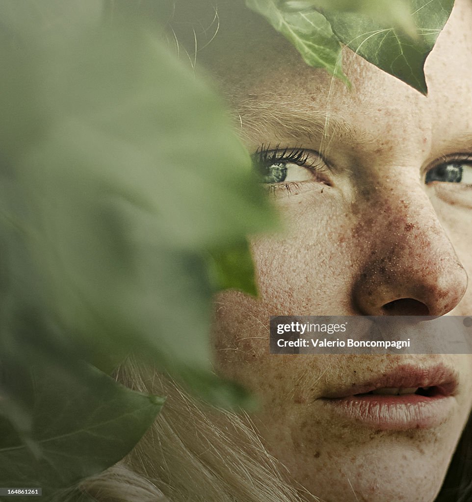 Portrait in the ivy