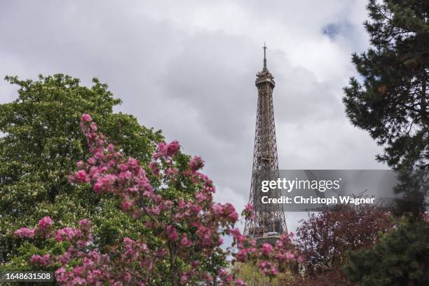 paris, frankreich, eifelturm - louvre paris stock pictures, royalty-free photos & images