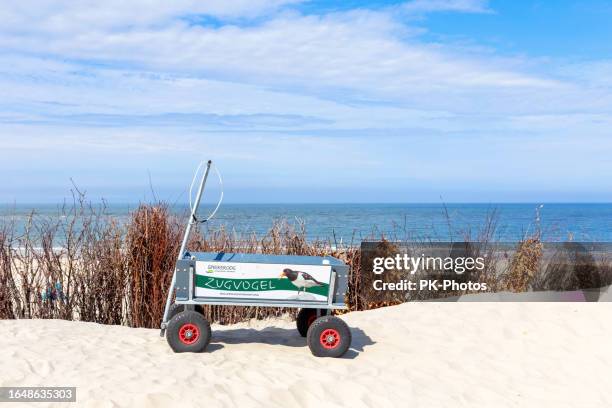 charrette à bras pour les bagages des touristes sur une dune de sable, île de la mer du nord spiekeroog, allemagne - chariot wheel photos et images de collection