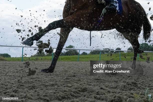 General view as runners take the bend into the straight during The Racing League On Sky Sports Racing Amateur Jockeys' Handicap at Lingfield Park...