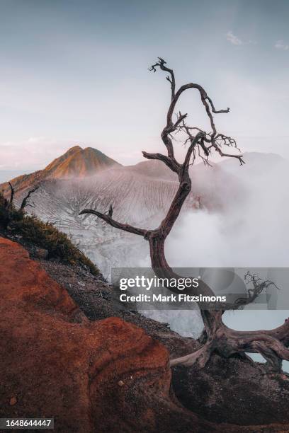 ijen during sunrise, east java, indonesia - kawah ijen stock pictures, royalty-free photos & images