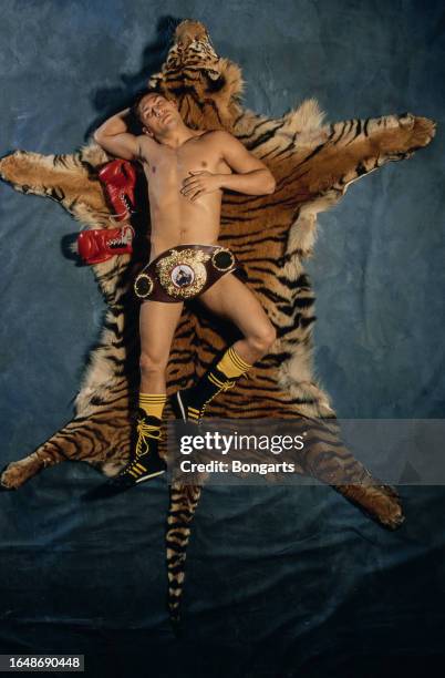 Aerial photograph of German-Polish boxer Darius Michalczewski lying on a tiger-skin rug, a WBO light-heavyweight belt draped over him, during a...