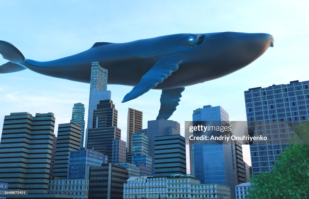 Whale flying over cityscape