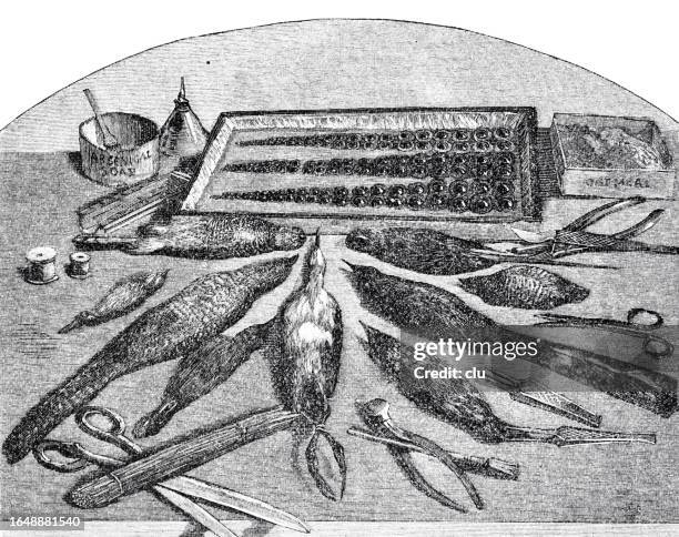 zubereitungen und hilfsmittel zum stopfen - jagdtrophäe stock-grafiken, -clipart, -cartoons und -symbole