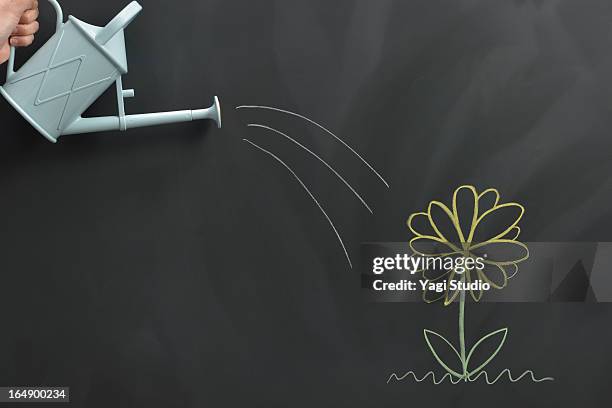 flower drawn on the blackboard - flowers chalk drawings stock pictures, royalty-free photos & images