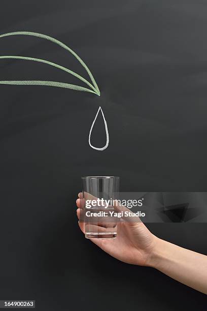 drop leaves and drawn on a blackboard - water conservation stock pictures, royalty-free photos & images