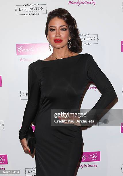 Actress / Model Sahar Biniaz attends the Fire & Ice Gala Benefiting Fresh2o at the Lexington Social House on March 28, 2013 in Hollywood, California.