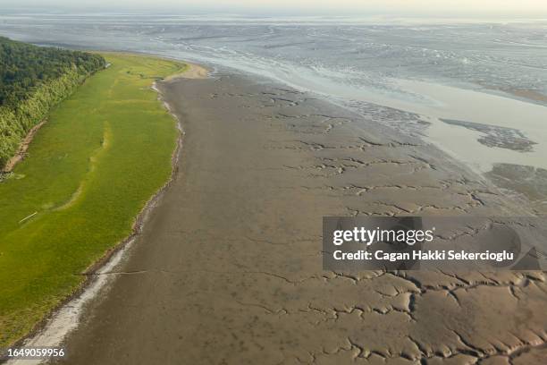 mudflats of the turnagain arm - cook inlet stock pictures, royalty-free photos & images