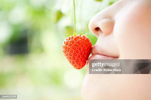 a woman harvesting a strawberry - juicy lips stock pictures, royalty-free photos & images