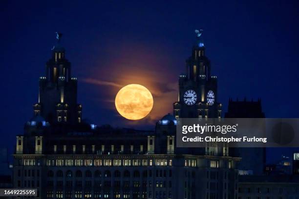 Full blue moon rises behind the Royal Liver Building and the Liver Bird statues on August 30, 2023 in Liverpool, United Kingdom. In addition to its...