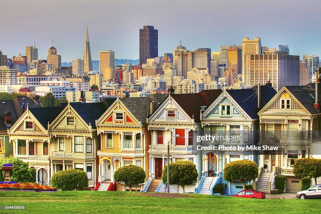 Painted Ladies