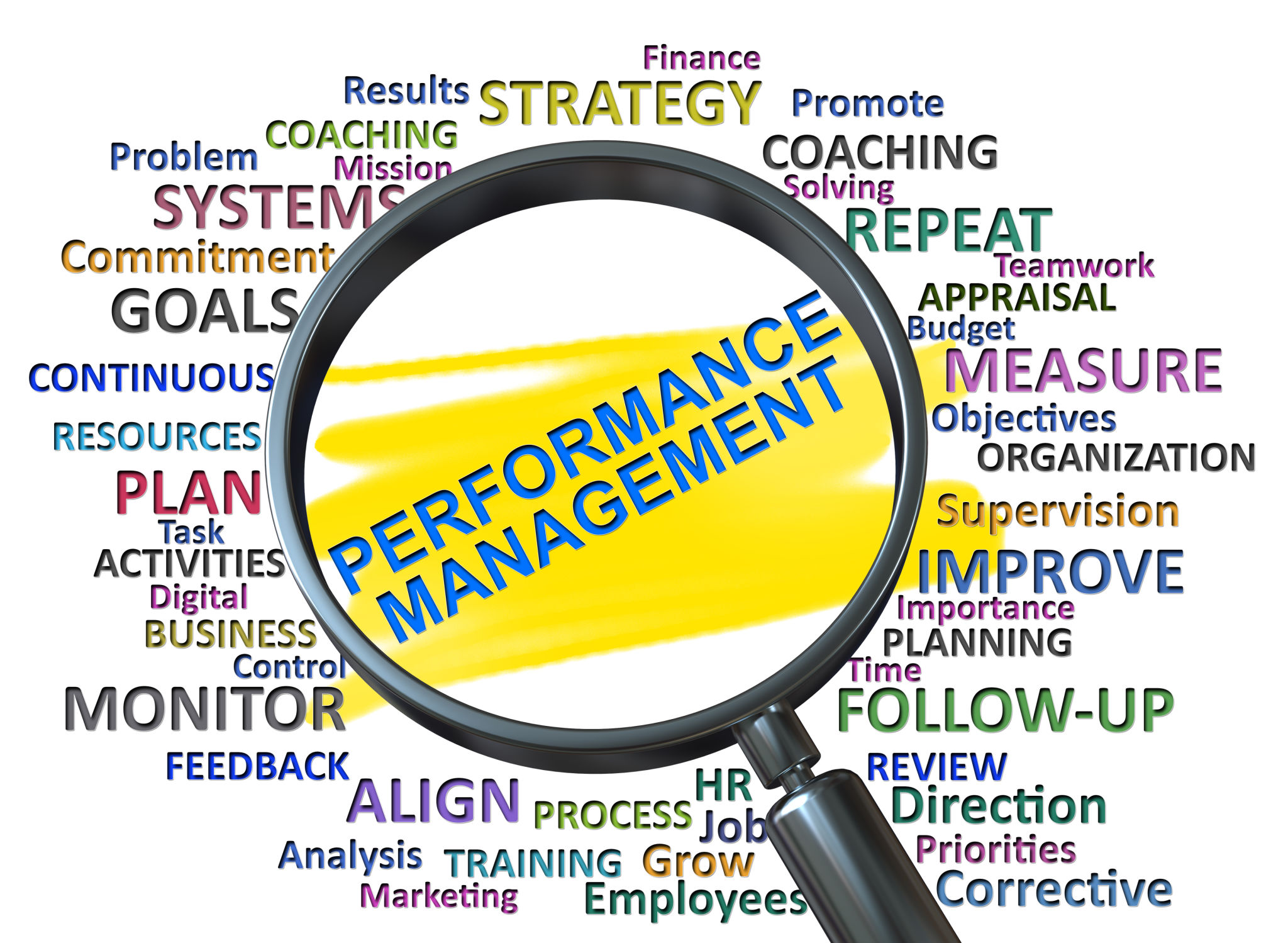 Performance Management Performance Management