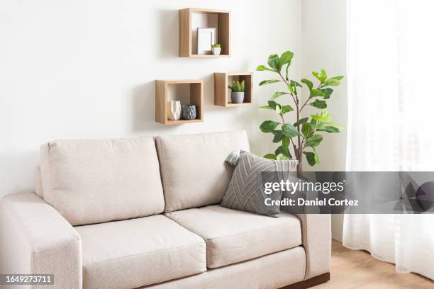 a large cream couch with some cushion on it and shelves of greenery - net neutrality stockfoto's en -beelden