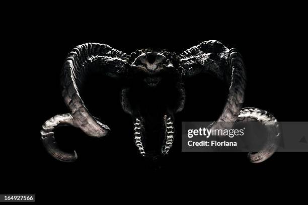 monster skull - animal skull stock pictures, royalty-free photos & images