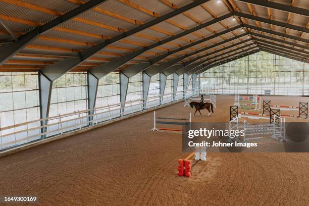 Paddock Reeds 6,816 Paddock View Stock Photos, High-Res Pictures, and Images - Getty ...