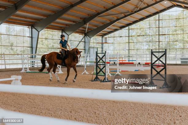 view of female horse rider using indoor riding paddock - paddock stock pictures, royalty-free photos & images