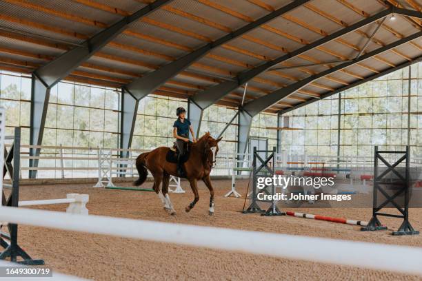 view of female horse rider using indoor riding paddock - paddock stock pictures, royalty-free photos & images