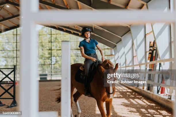 view of female horse rider using indoor riding paddock - paddock stock pictures, royalty-free photos & images