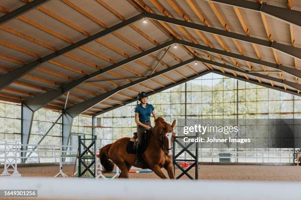 view of female horse rider using indoor riding paddock - equestrian event stock pictures, royalty-free photos & images