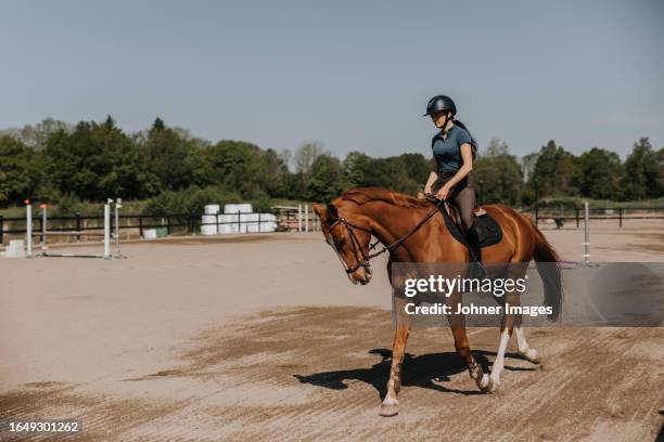 woman horse riding on paddock at sunny day - montar un animal fotografías e imágenes de stock
