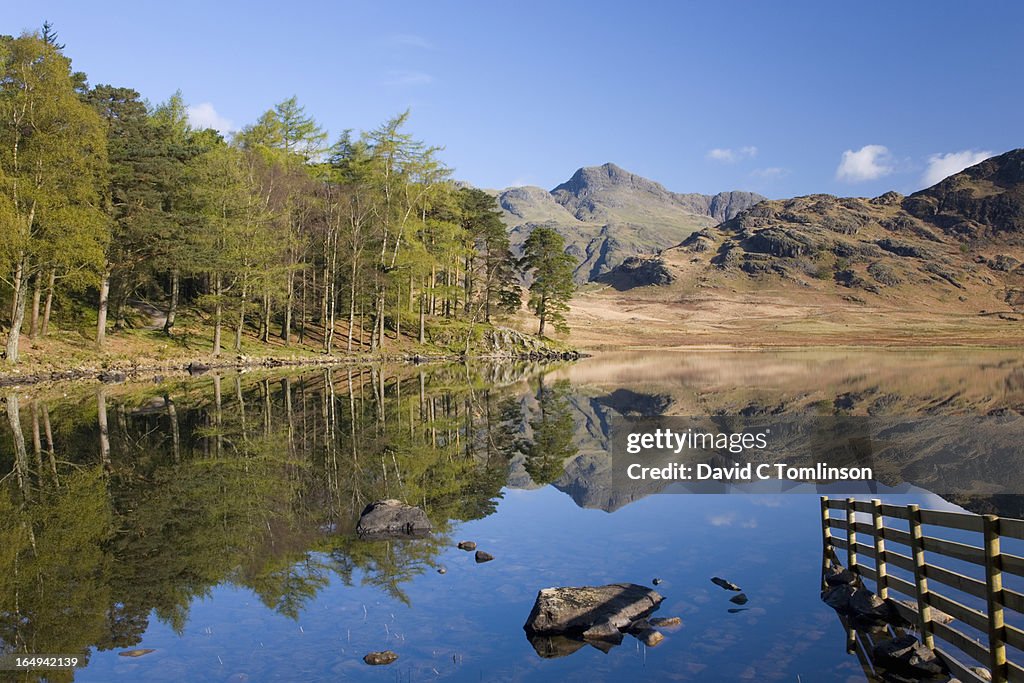 Blea Tarn, Lake District, Cumbria, England