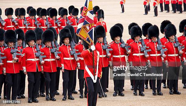 march-past, trooping the colour, london, england - national day military parade 2012 stock pictures, royalty-free photos & images