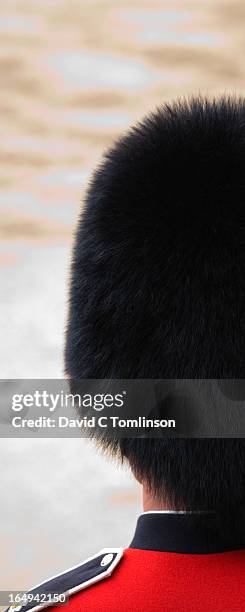 bearskin, trooping the colour, london, england - british military stock-fotos und bilder