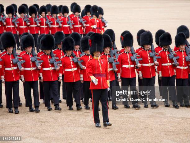 march-past, trooping the colour, london, england - bearskin hat stock pictures, royalty-free photos & images