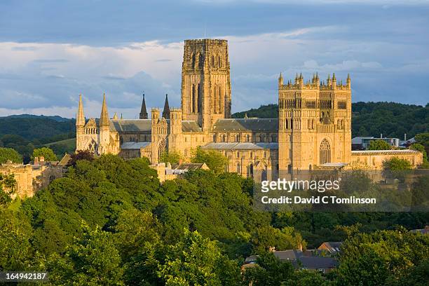 the cathedral, durham, county durham, england - county durham england foto e immagini stock