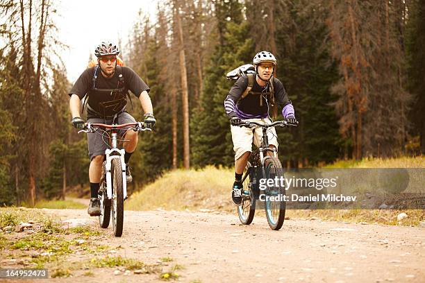 two guys riding mountain bikies in the woods. - eagle county colorado imagens e fotografias de stock