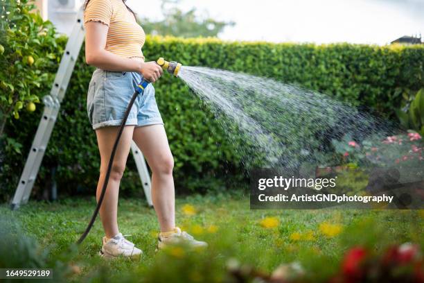 woman using a hose to water the lawn. - garden hose stock pictures, royalty-free photos & images