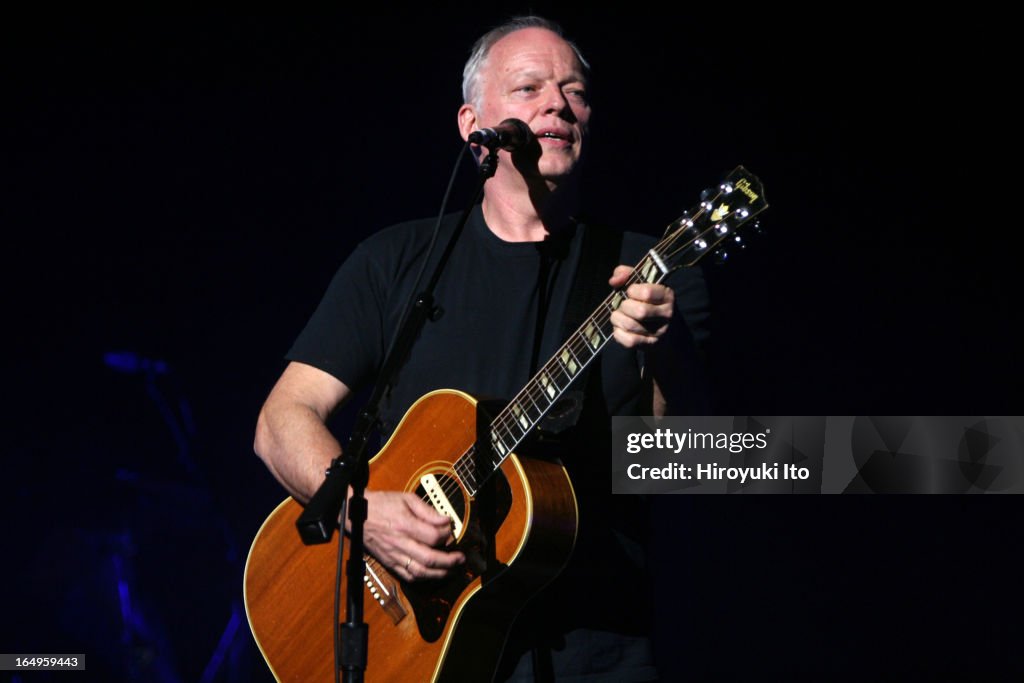 David Gilmour