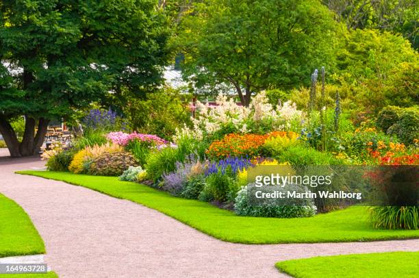 beautiful summer garden - landscaped stock pictures, royalty-free photos & images