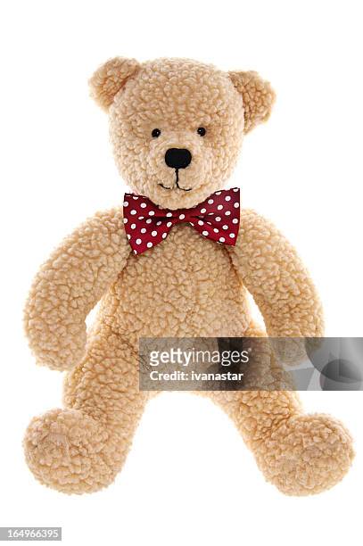 orsacchiotto con fiocco - teddy bear on white foto e immagini stock