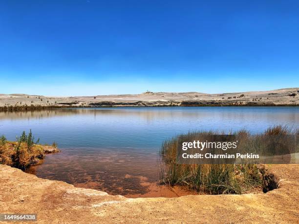 inka coya lagoon in antofagasta region of chile in south america. beautiful round lagoon in atacama desert on ancient inca trail near calama. rocky landscape with local flora and fauna in november 2022 - calama stockfoto's en -beelden