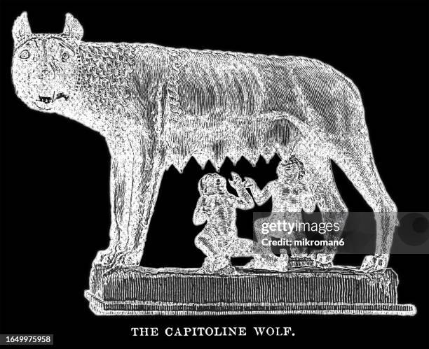 old engraved illustration of romulus and remus suckled by a she-wolf - la lupa capitolina (the capitoline wolf), wolf-figure is etruscan, 5th century bc., figures of romulus and remus were added in the 15th century ad by antonio del pollaiuolo - la italia stock pictures, royalty-free photos & images